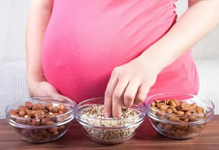 Hamilelikte Ayçiçeği Çekirdeği Yemek – Yararları ve Riskleri