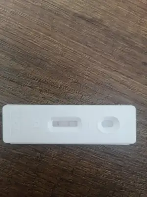 WhatsApp Image 2021-12-22 at 13.25.09.webp