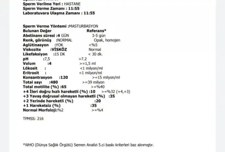 IMG_20211225_190942.webp
