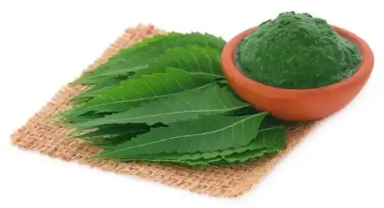 neem_yapraklari_sac_kepegi_tedavisi.jpg neem_yapraklari_sac_kepegi_tedavisi.jpg