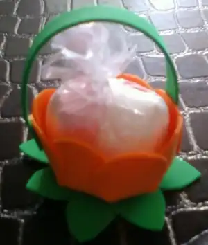 $Image000234.webp $Image000234.webp