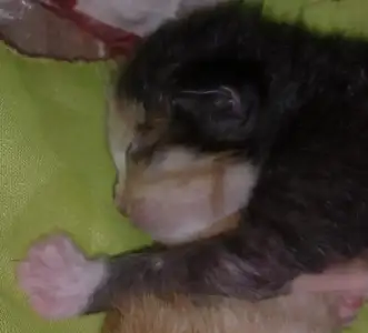 $290620128415.webp