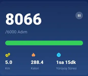 Screenshot_20220108-195129_Pedometer Step Counter.webp