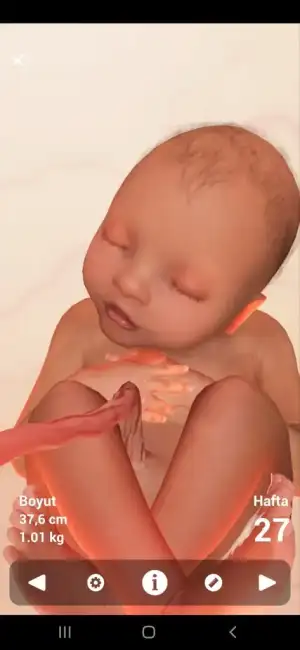 Screenshot_20220111-175106_Pregnancy+.webp