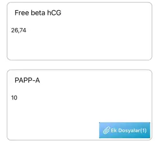 WhatsApp Image 2022-01-12 at 15.55.22.webp