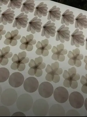 166328D4-9F6E-4A56-A457-BA3AA0ADE0BB.webp