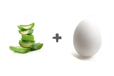 Saç Dökülmesi İçin Ev Yapımı Yumurta Ve Aloe Vera Şampuanı