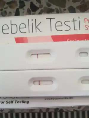 16429237825654003151738008414105.webp