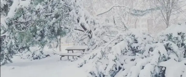 Screenshot_20220123_200752.webp