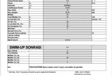 214BCA15-8CED-4F30-9D62-A7CDD9B6FE18.webp