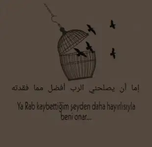 e03c7952e68039c10427d9db87509b1c.webp