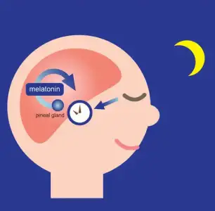 melatonin_hormonu_uyku.jpg melatonin_hormonu_uyku.jpg