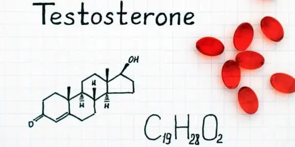 testosteron_hormonu_ne_ise_yarar.jpg testosteron_hormonu_ne_ise_yarar.jpg