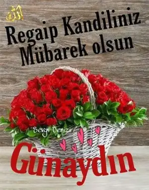 3a6a00b00435fd83d385eea6dd98cae8.webp