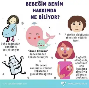 FFE44F4C-9772-4EE9-A89A-41FBF3A60C17.webp