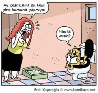 $RES&#304;M 2.webp