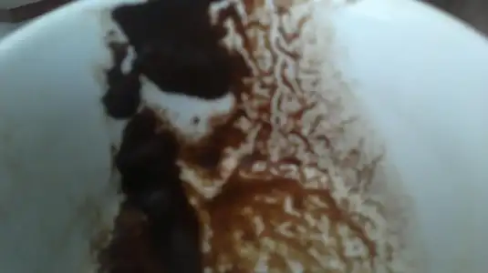 $04072012498.webp