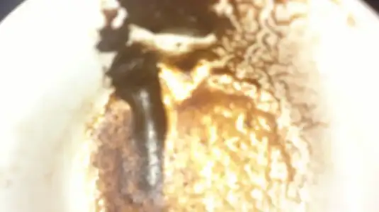 $04072012499.webp