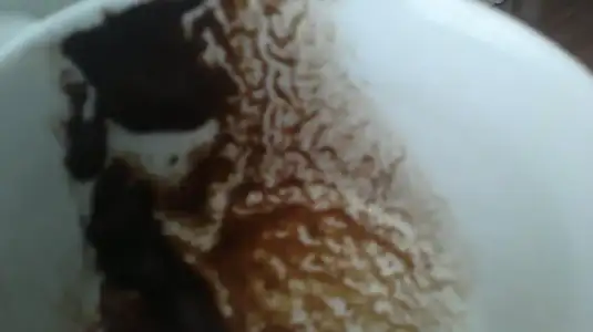 $04072012501.webp