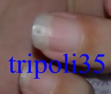 $050720128767.webp