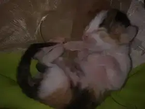$010720128476.webp