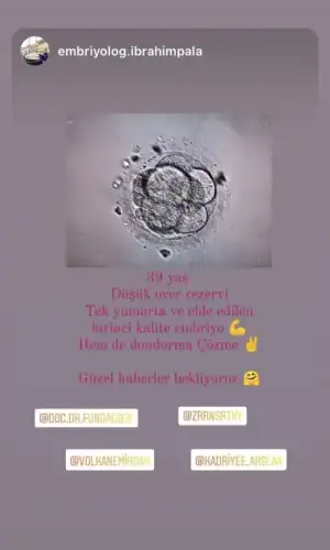 FBD46E43-C713-4A8B-99BA-169756E43675.webp