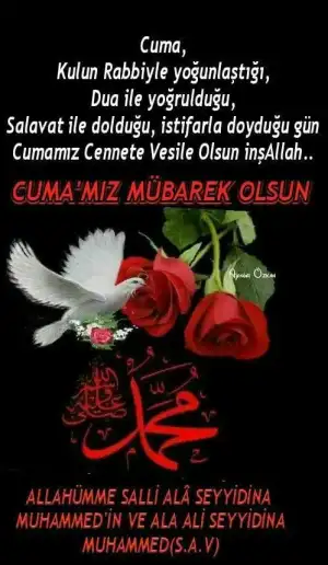 C8BD7ABA-4024-41F9-B9B2-1B5CDACECE3D.webp