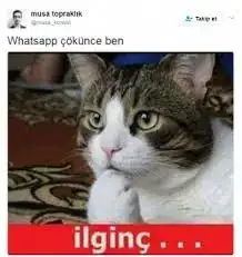 ilginç.webp