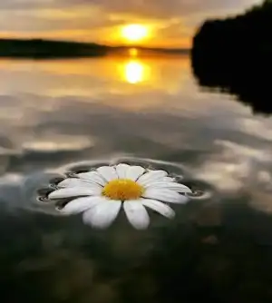Screenshot_20220219-102145~2.webp