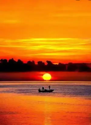 Screenshot_20220220-131650~3.webp