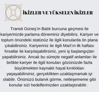 güneş balık 3 (3)a.webp