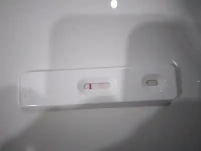 20220222_094143.webp