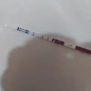 WhatsApp Image 2022-02-23 at 15.22.05.webp