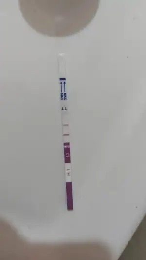 WhatsApp Image 2022-02-23 at 15.16.45.webp