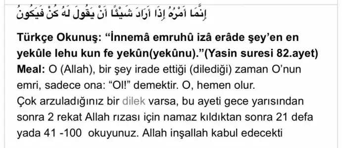 E81340A2-F7AF-4290-8FA8-6BD0E75EEEE0.webp