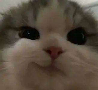 Screenshot_20220224-144756_Instagram.webp