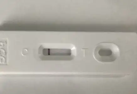 7B96838A-0483-4C14-94B1-14ABC4FA559D.webp 7B96838A-0483-4C14-94B1-14ABC4FA559D.webp