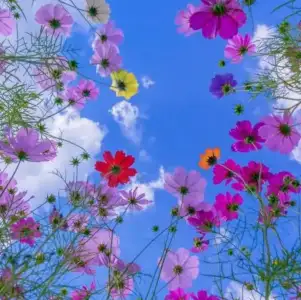 Screenshot_20220308-135434~2.webp