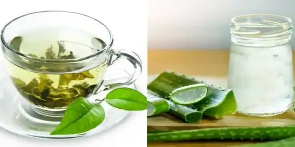 yesil_cay_aloe_vera_sac_maskesi_tarifi.jpg yesil_cay_aloe_vera_sac_maskesi_tarifi.jpg