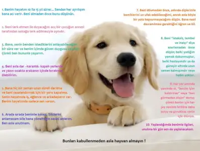 $L&#220;TFEN HATIRLA.webp