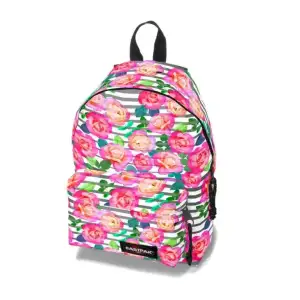 $&#231;anta (28).webp