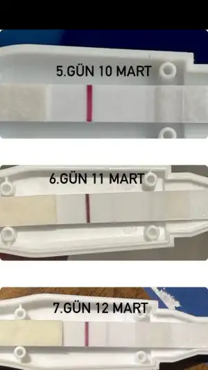 89B21AFB-94E9-44D1-843D-E701FAB2EA96.webp