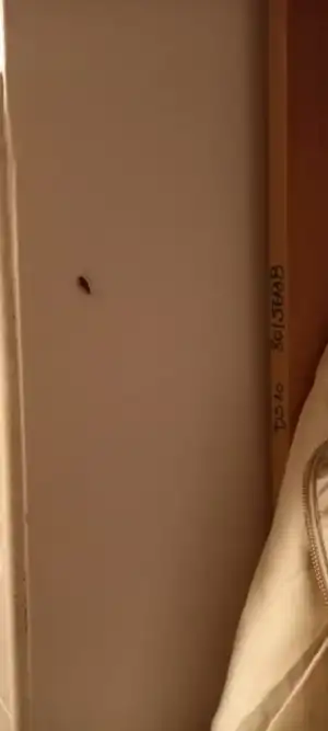 WhatsApp Image 2022-03-14 at 11.44.13.webp