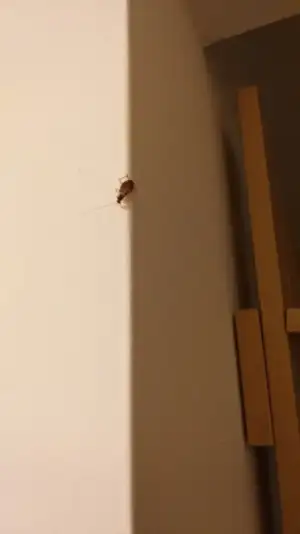 WhatsApp Image 2022-03-17 at 14.17.36.webp