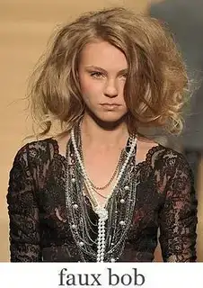 $faux_bob.webp