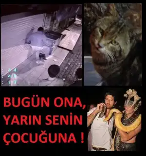 $UFUK GUNAYDINN.webp