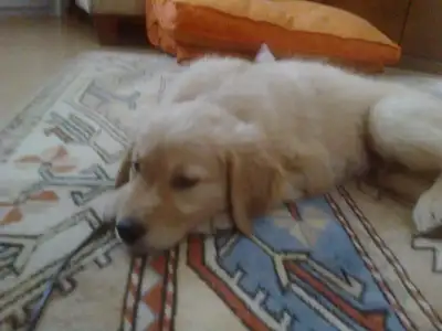 $070620121734.webp