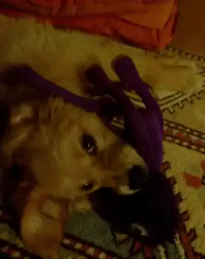 $240620121796.webp