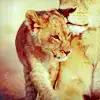 $avlionss00.webp