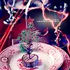 $ruthenia_alba_071225christmas1.webp